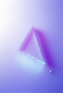 vin01