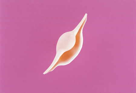 vin01