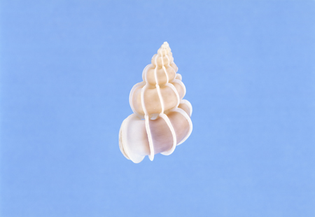 vin01