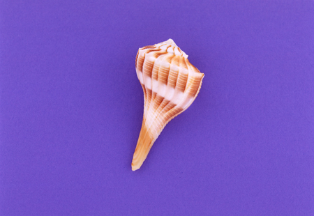 vin01