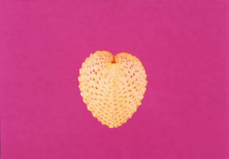 vin01