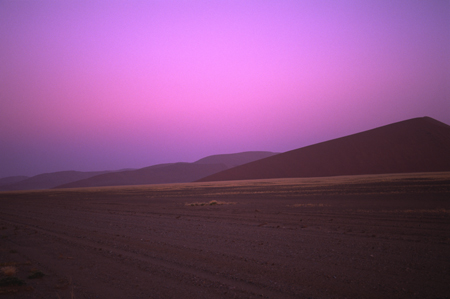 vin01